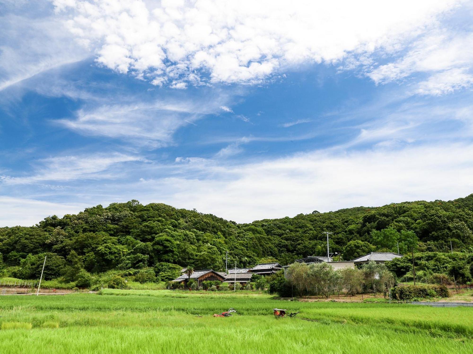 Villa オリーブ農家の家 お泊り忠左衛門 吉野 Shodoshima Exterior foto